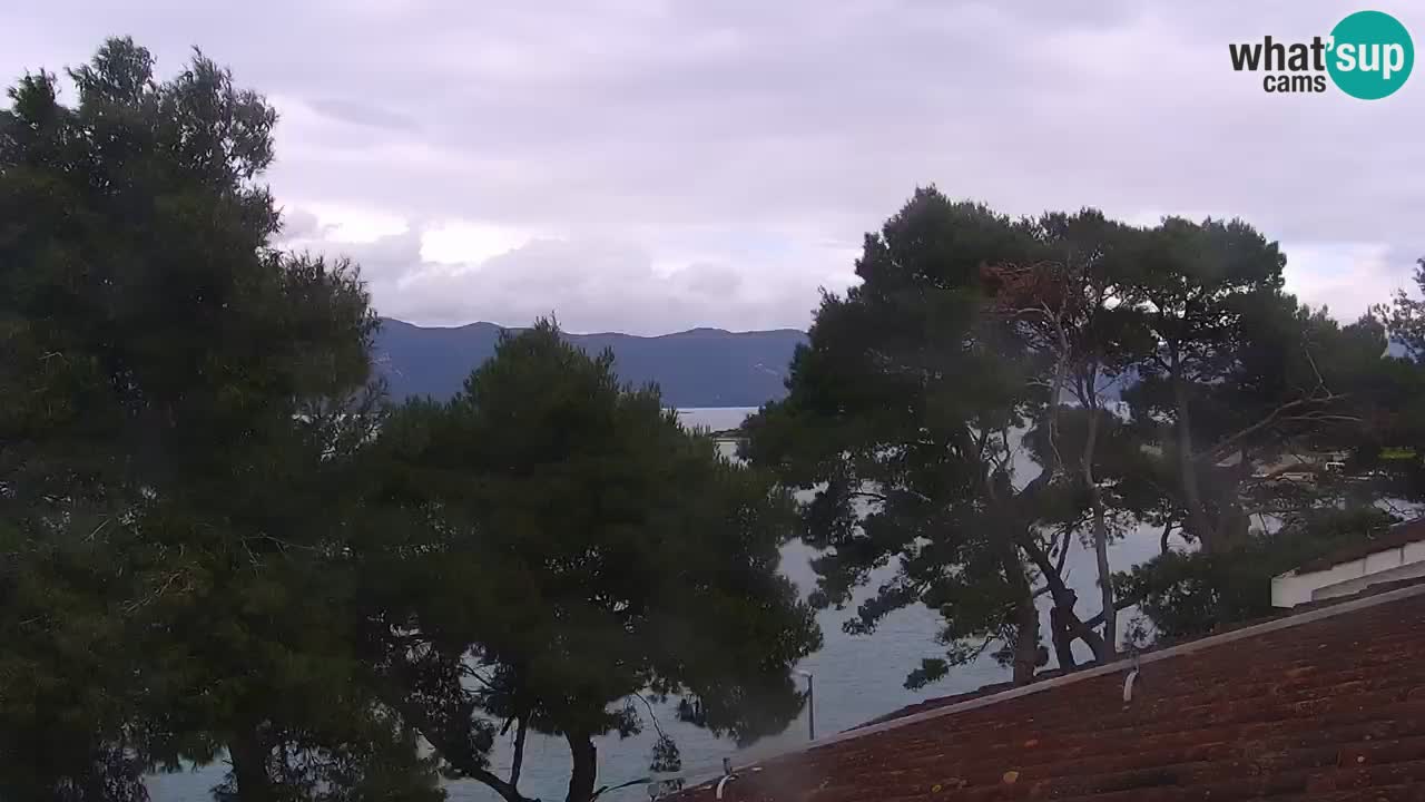 Lumbarda Resort live cam Curzola