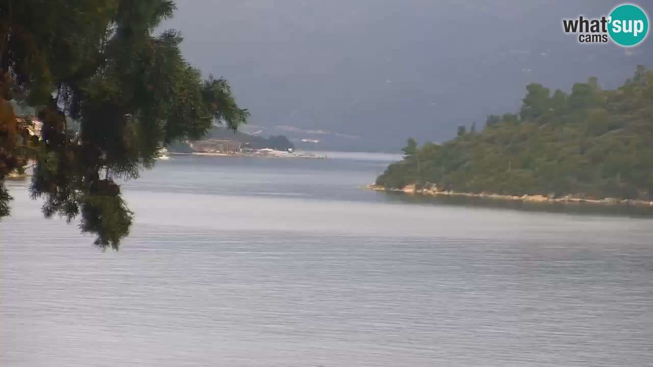 Lumbarda Resort camera en vivo Korčula