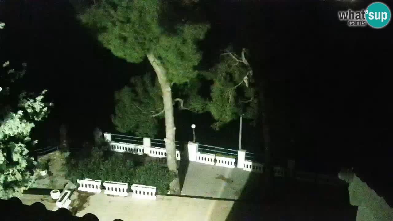 Lumbarda Resort camera en vivo Korčula