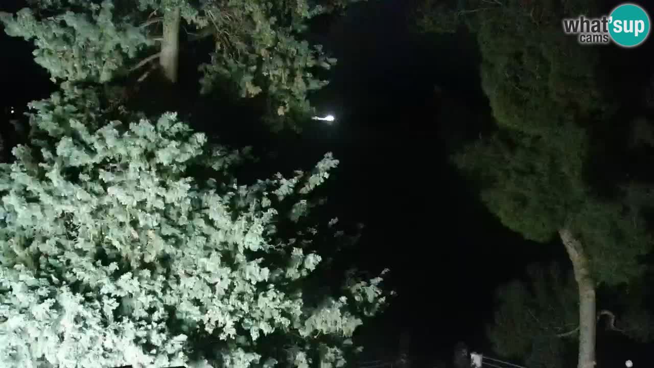 Lumbarda resort Webcam Korčula