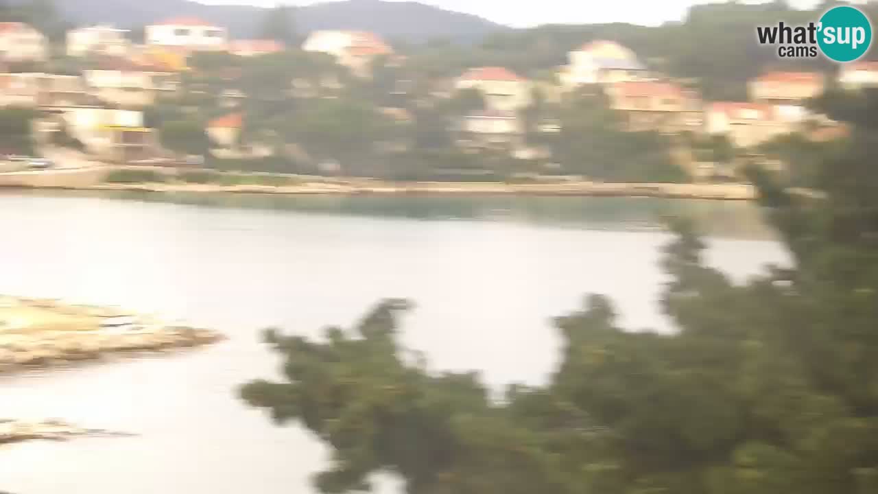 Lumbarda resort Webcam Korčula