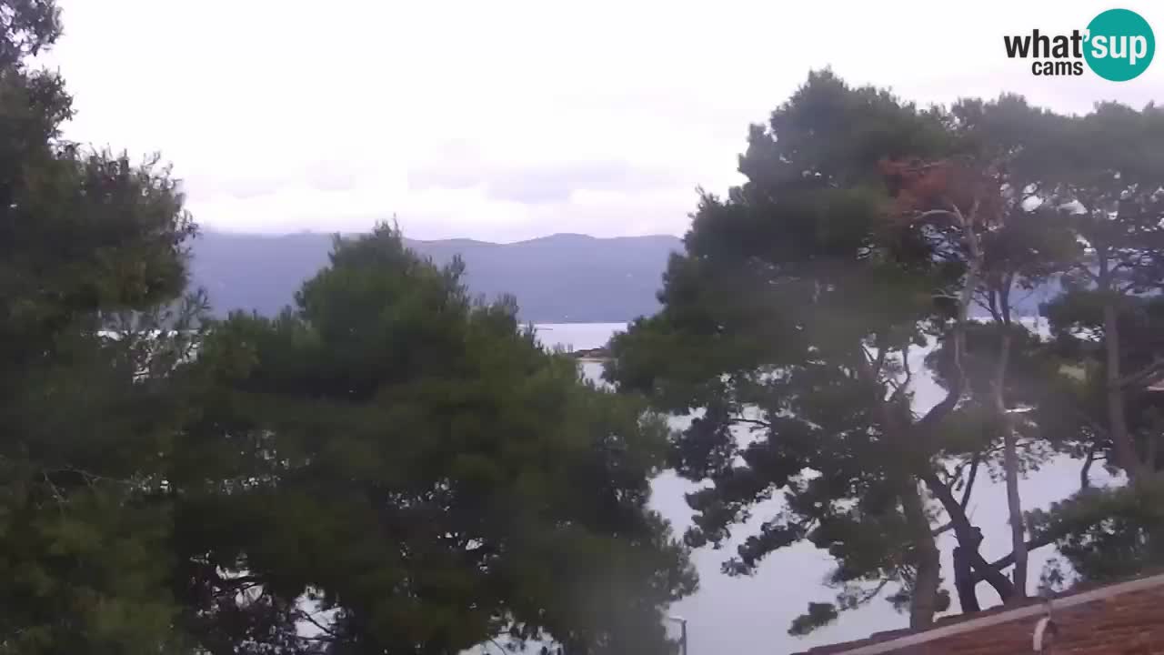 Lumbarda resort Spletna kamera Korčula