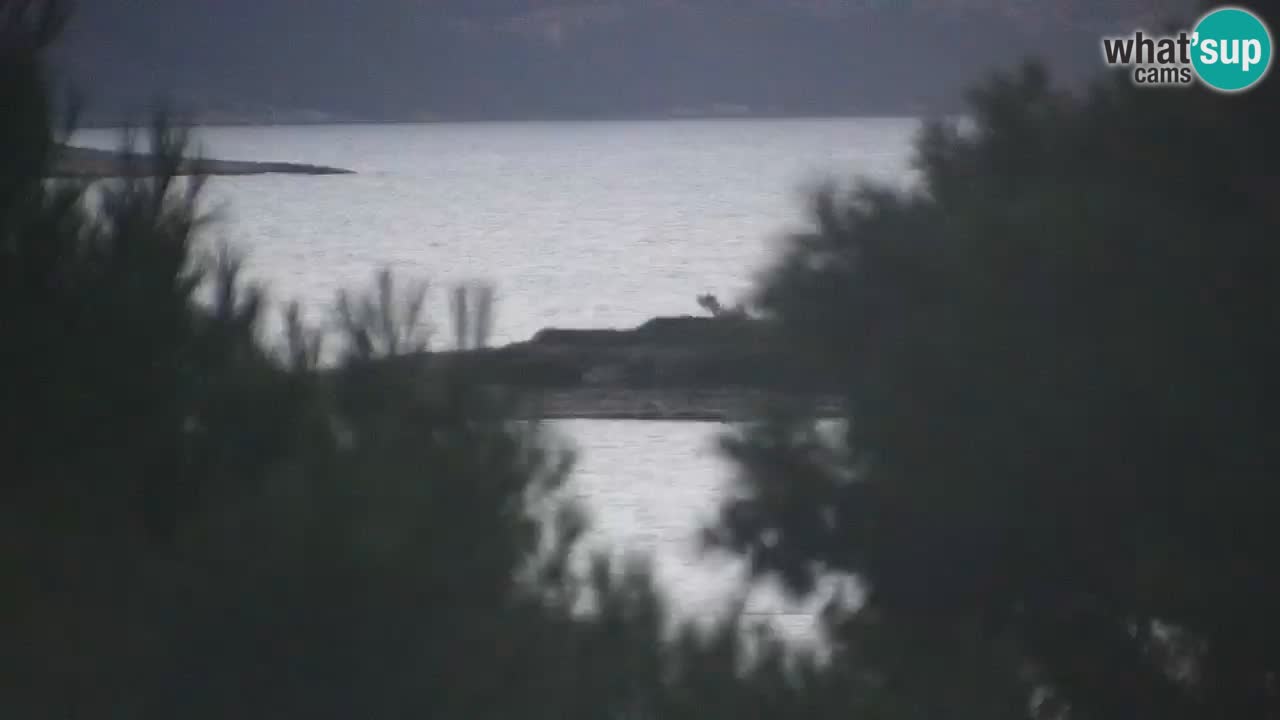 Lumbarda resort Spletna kamera Korčula