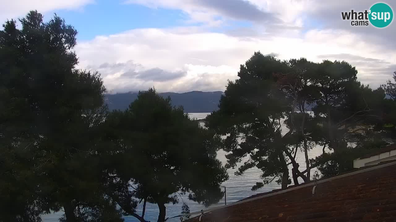 Lumbarda resort Spletna kamera Korčula