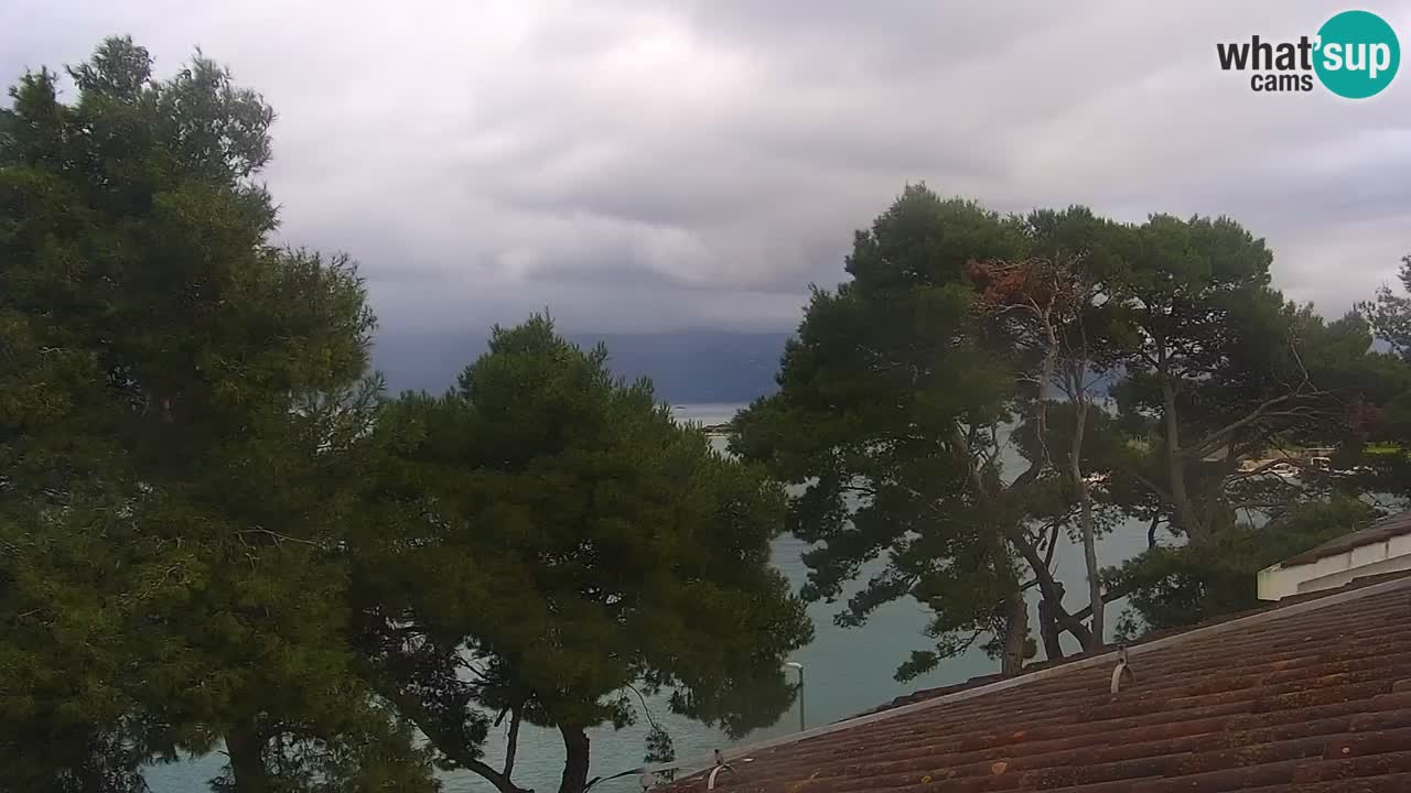 Lumbarda Resort live cam Curzola