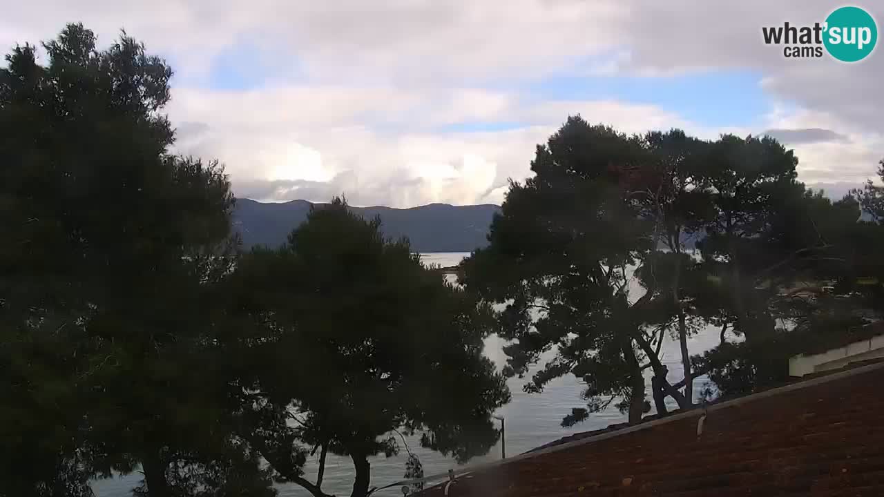 Lumbarda Resort camera en vivo Korčula