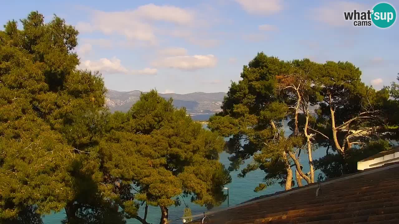 Lumbarda resort Web Kamera Korčula