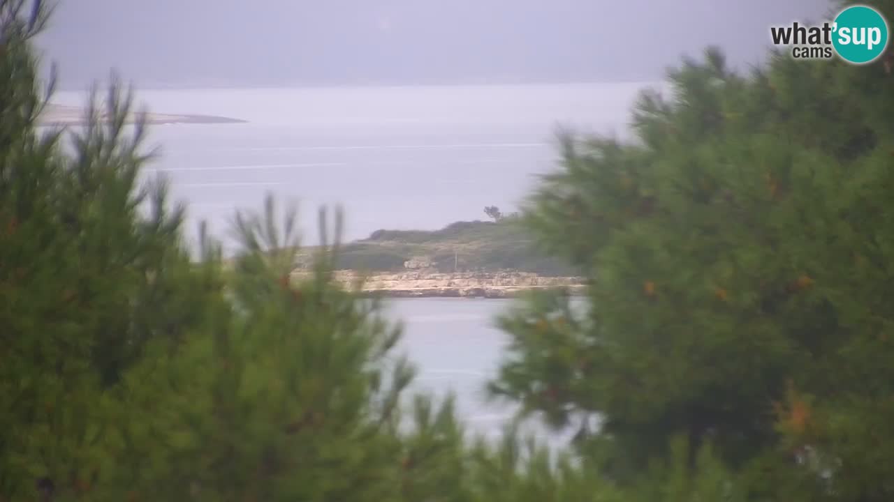Lumbarda resort Spletna kamera Korčula