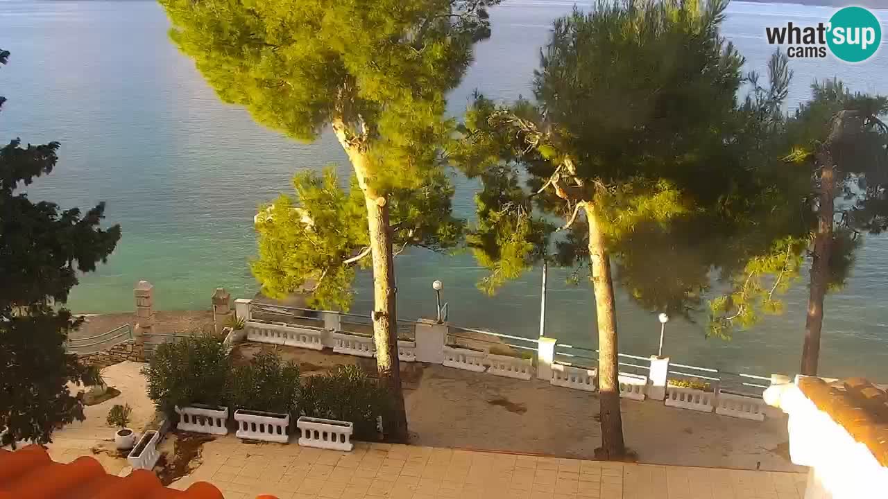 Lumbarda resort Webcam Korčula