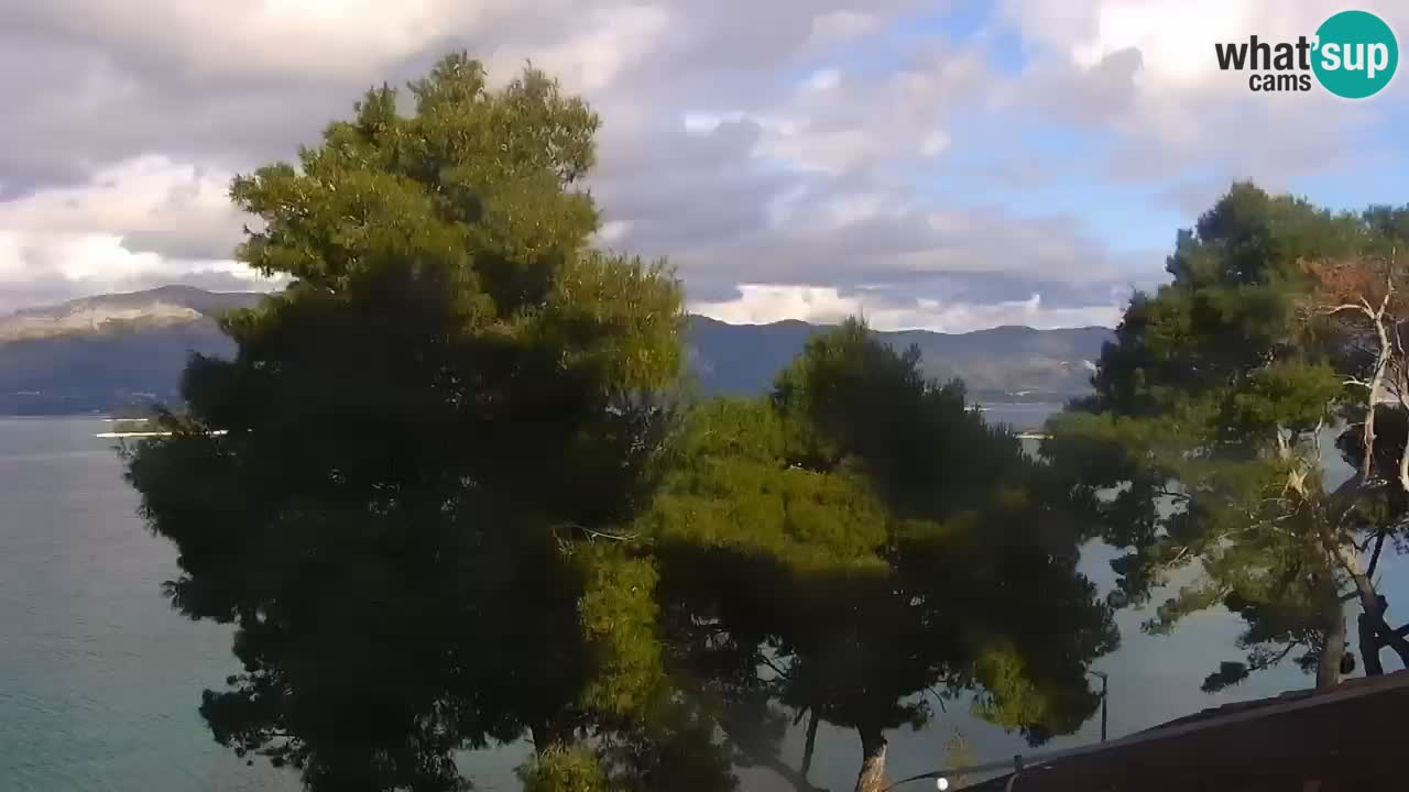 Lumbarda Resort live cam Curzola