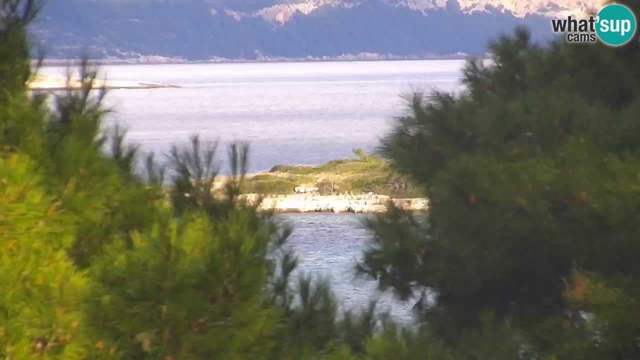 Lumbarda resort – livecam Korčula