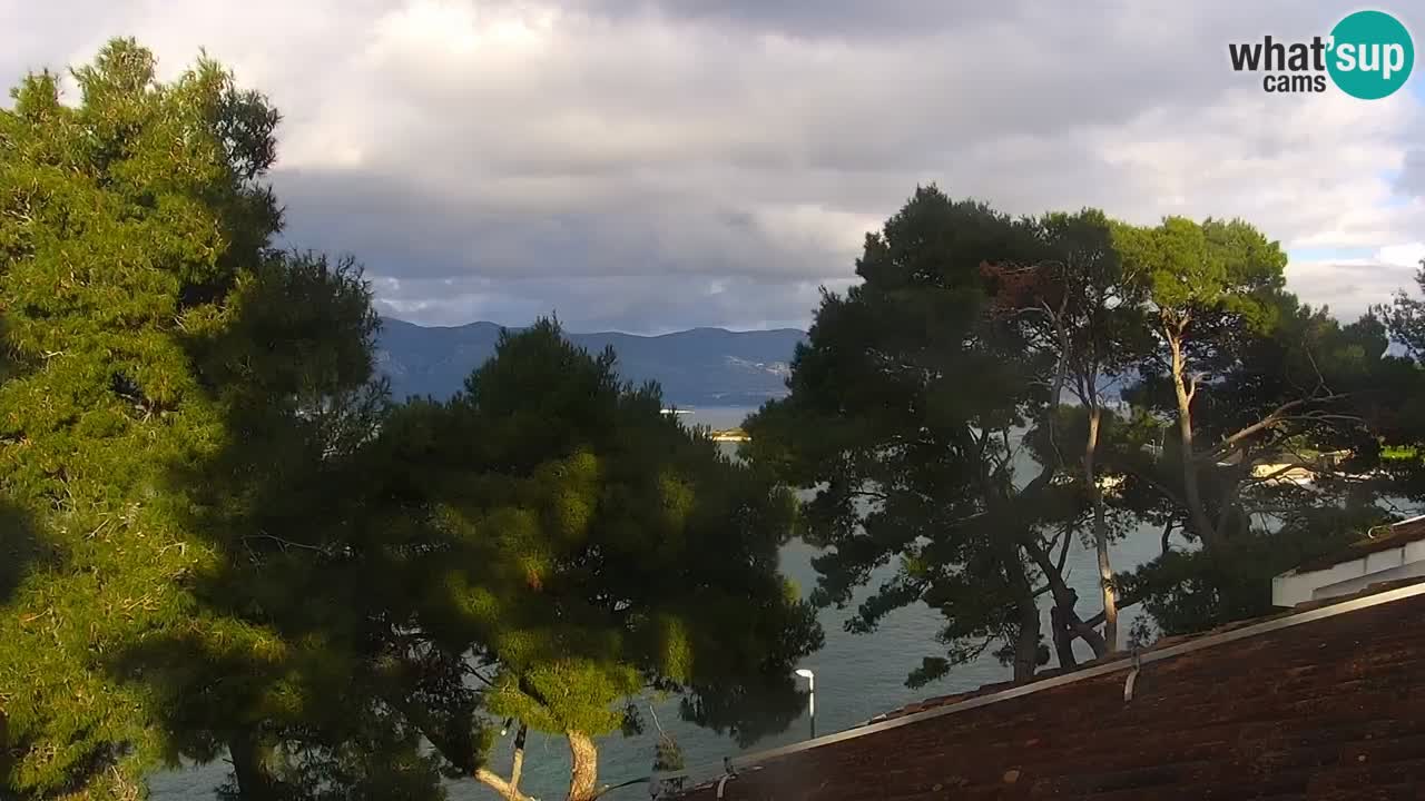 Lumbarda resort Web Kamera Korčula