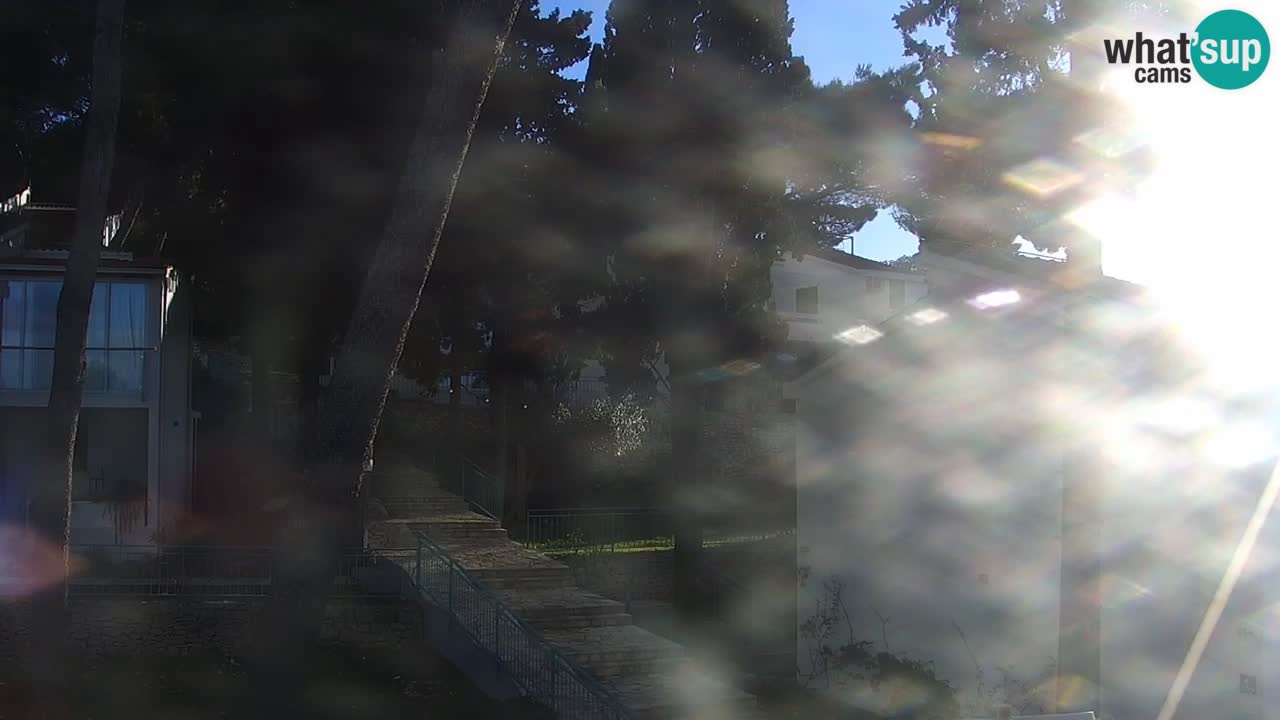 Lumbarda resort – livecam Korčula