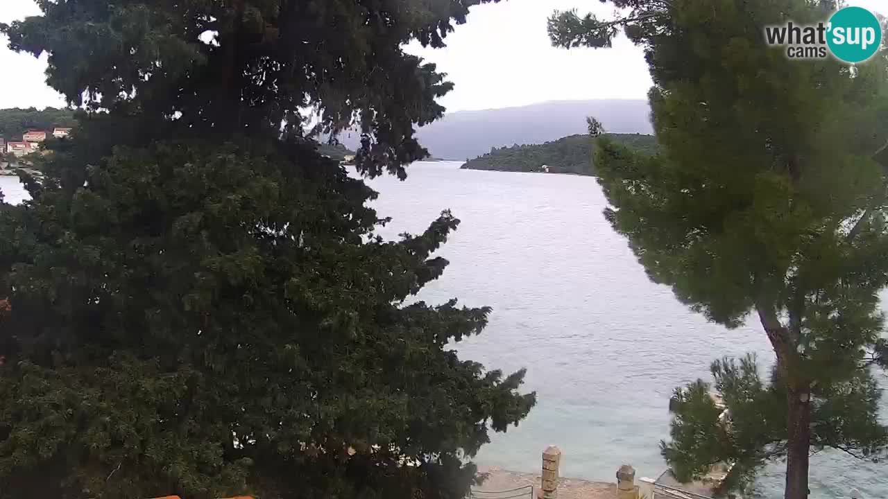Lumbarda Resort camera en vivo Korčula