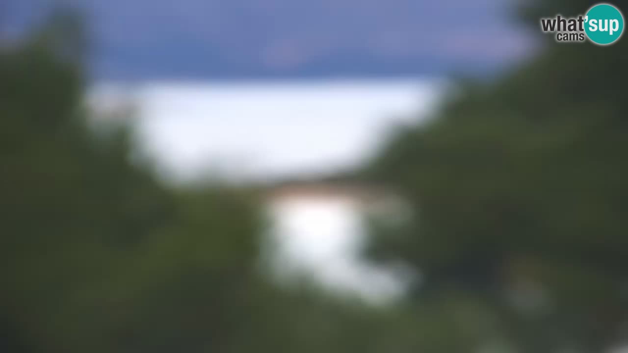 Lumbarda resort – livecam Korčula