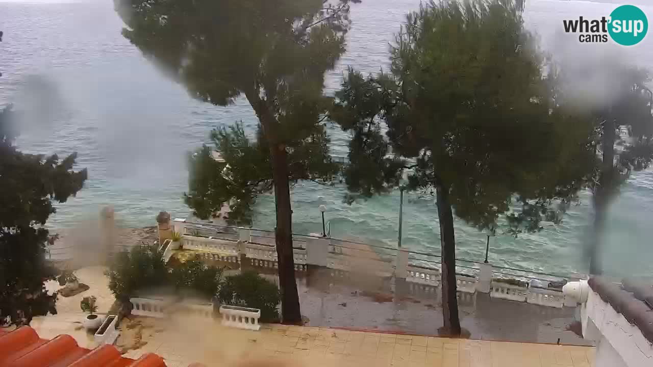 Lumbarda resort – livecam Korčula