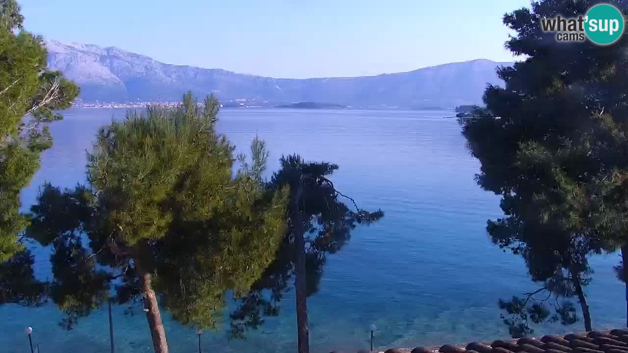 Lumbarda resort Webcam Korčula
