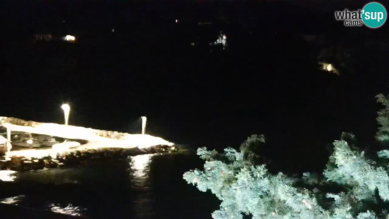 Lumbarda resort Spletna kamera Korčula