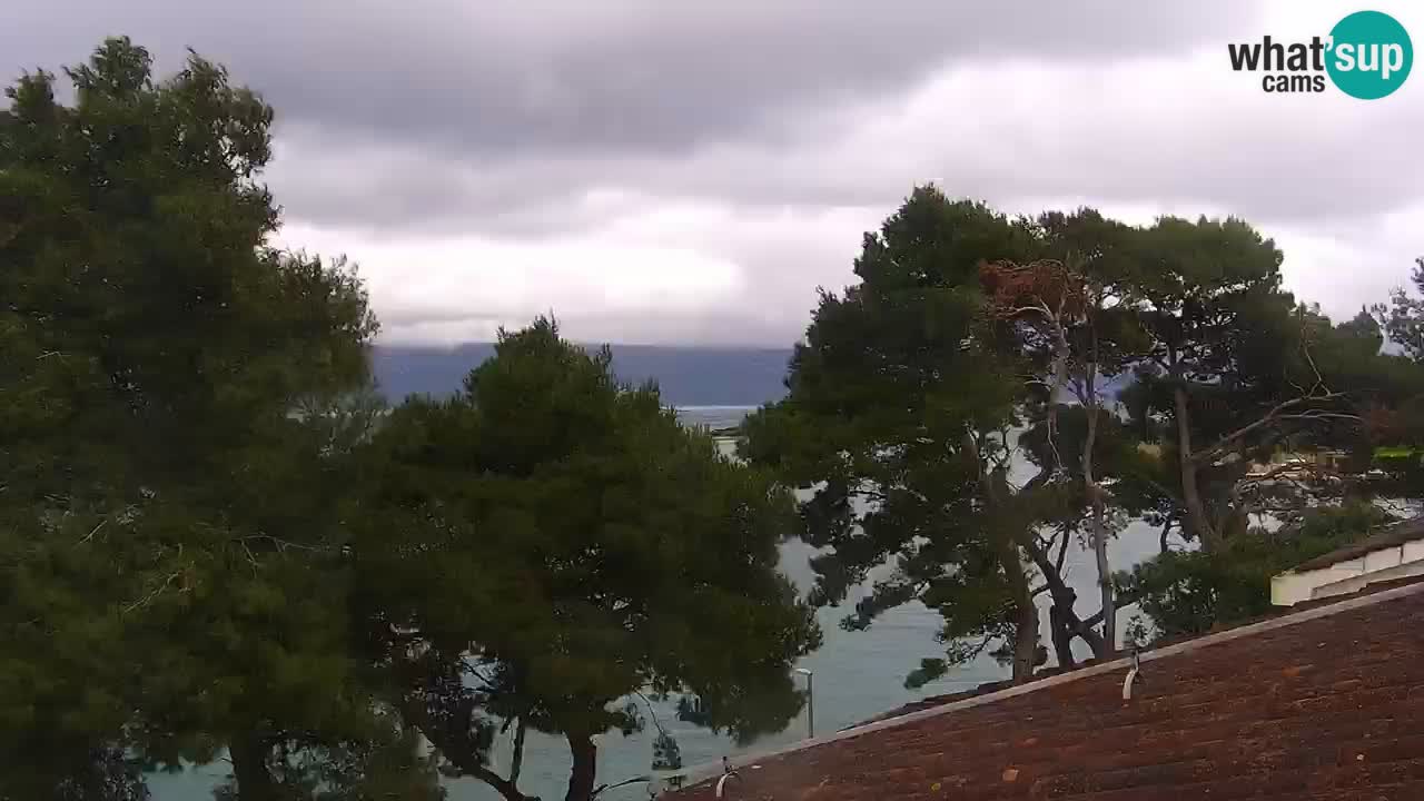 Lumbarda resort Webcam Korčula