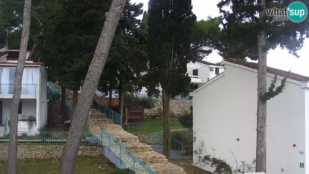 Lumbarda resort Webcam Korčula