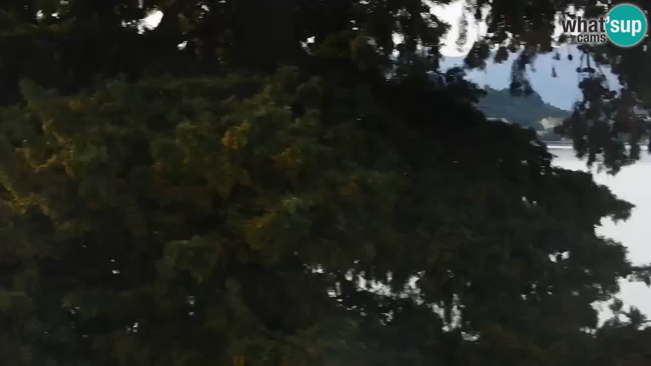 Lumbarda resort – livecam Korčula