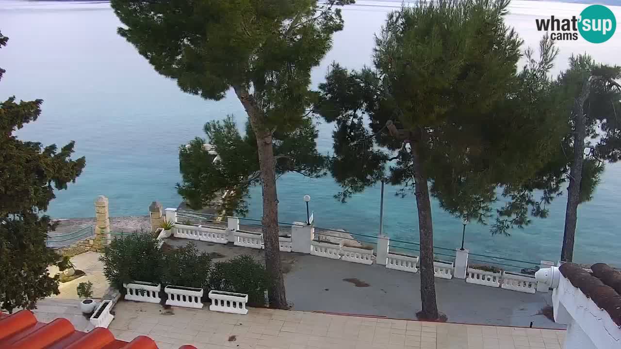 Lumbarda resort – livecam Korčula