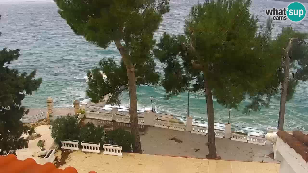 Lumbarda resort Spletna kamera Korčula