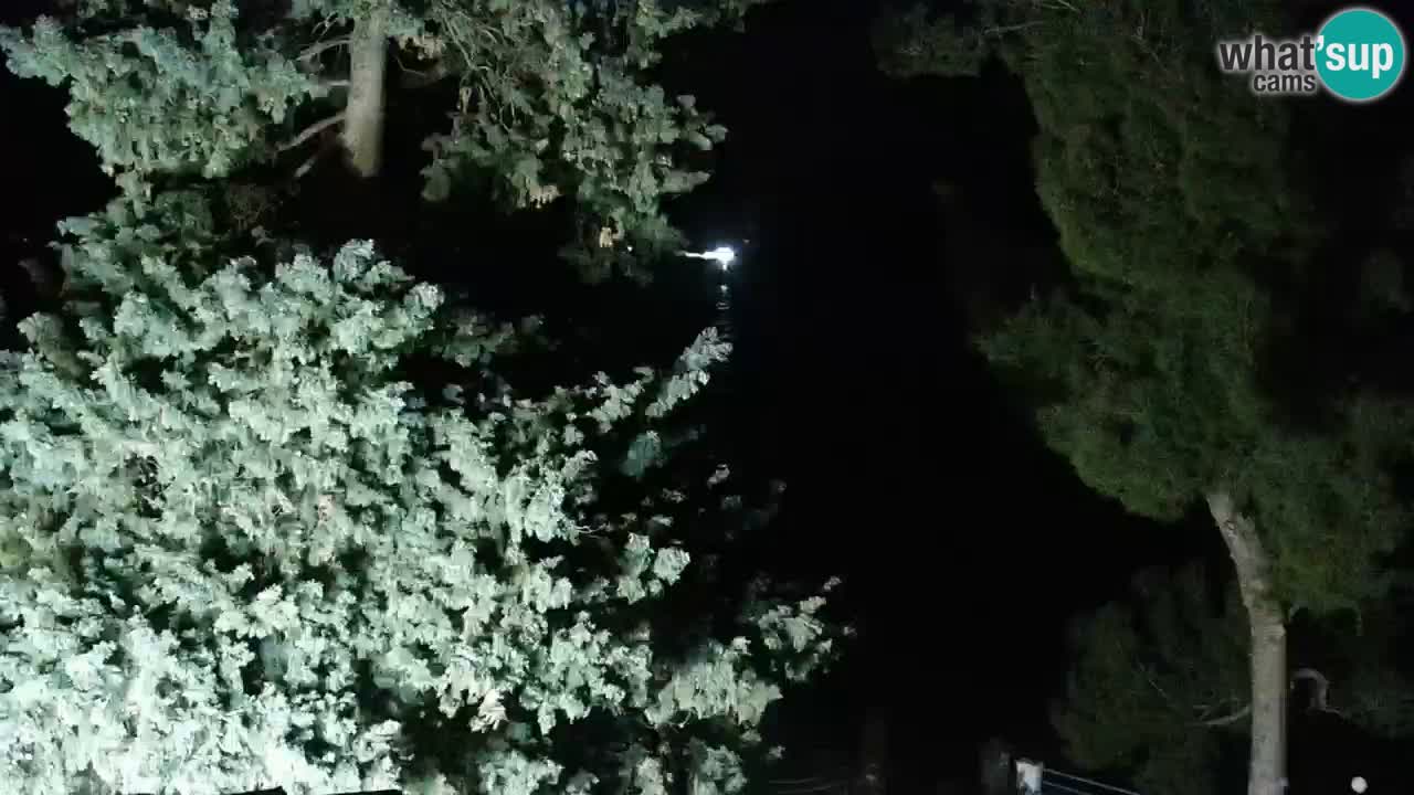 Lumbarda resort Webcam Korčula