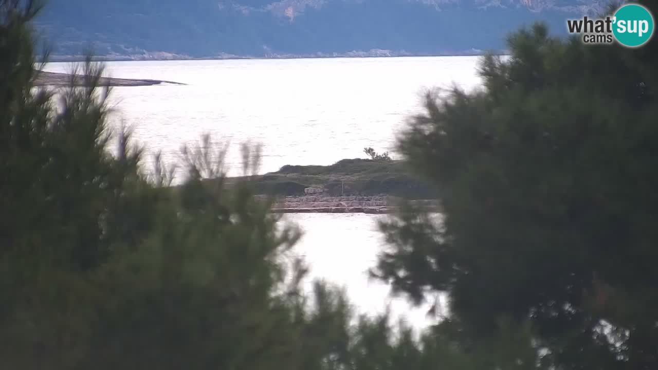 Lumbarda Resort live cam Curzola