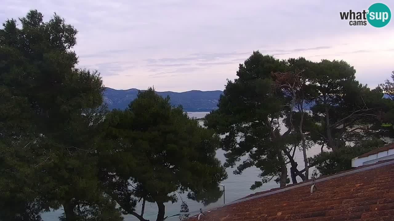 Lumbarda resort – livecam Korčula