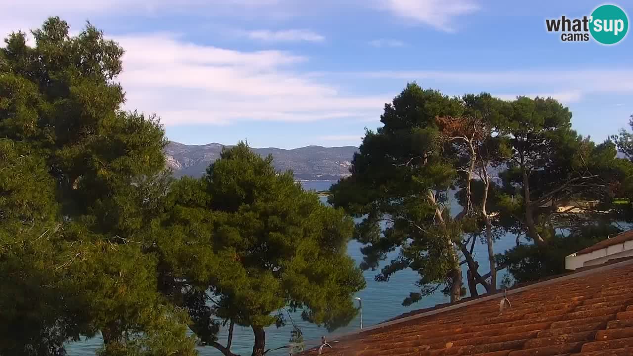 Lumbarda Resort live cam Curzola