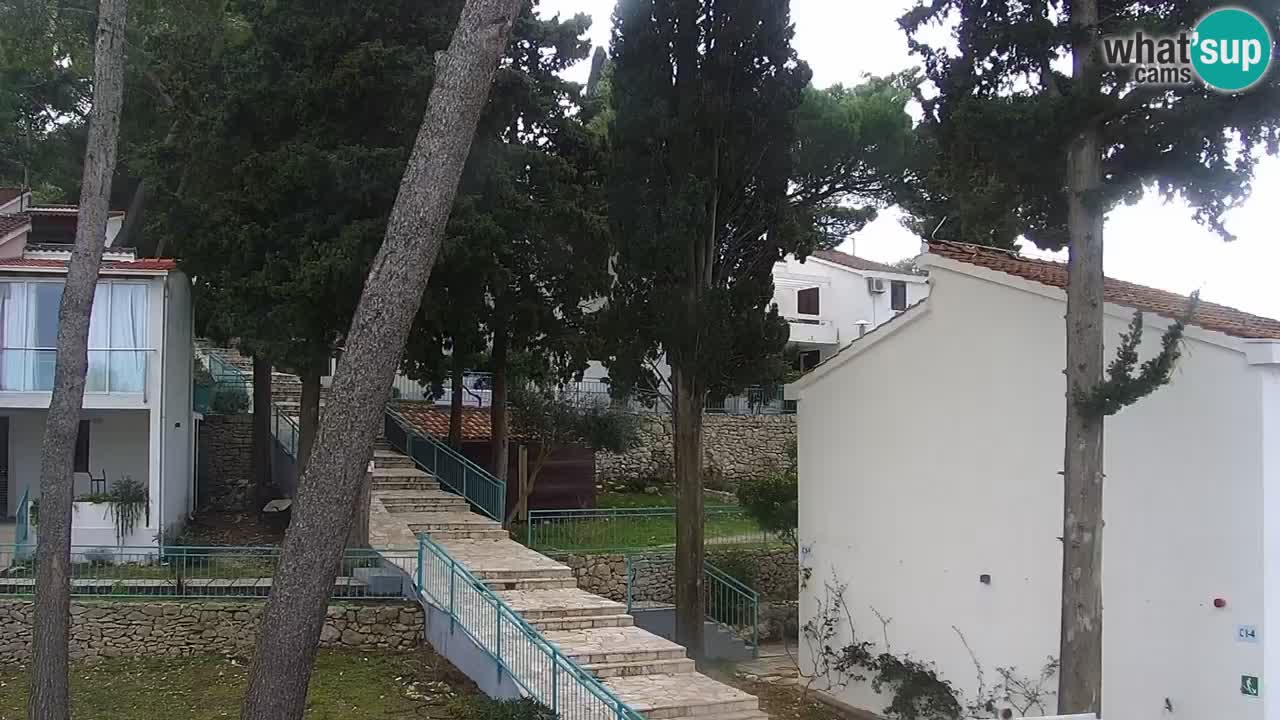 Lumbarda Resort live cam Curzola