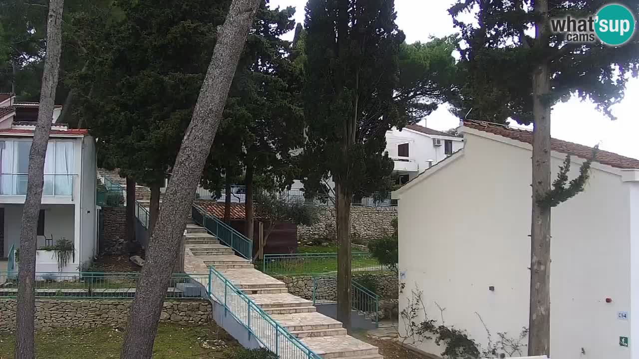 Lumbarda Resort camera en vivo Korčula