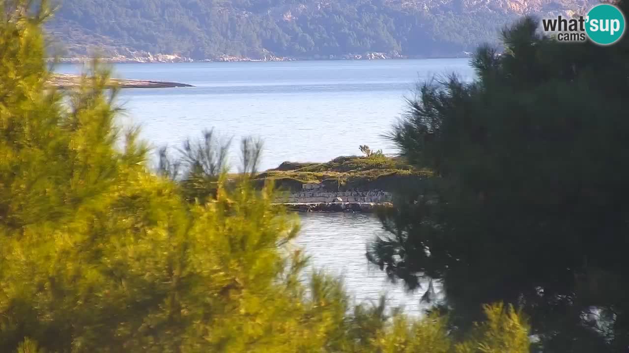 Lumbarda resort Webcam Korčula
