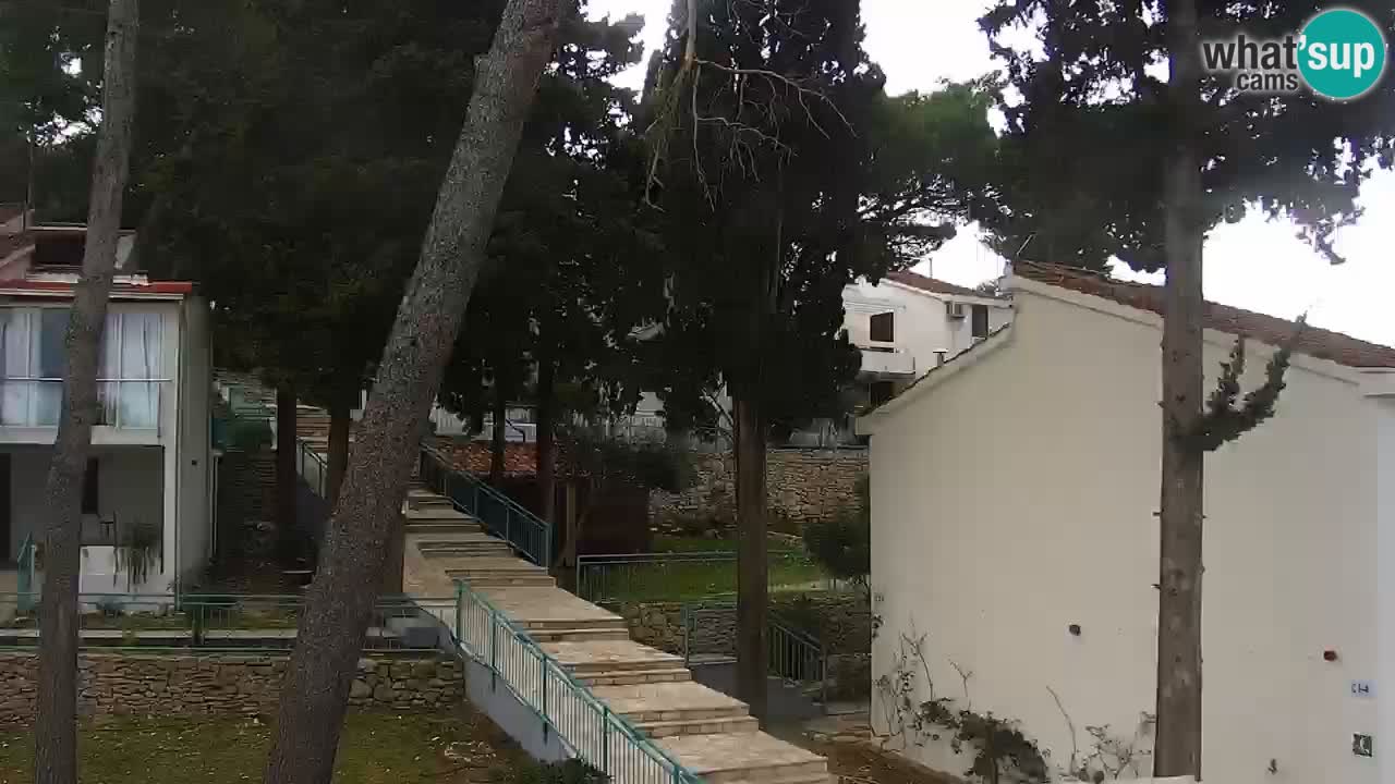 Lumbarda resort Web Kamera Korčula