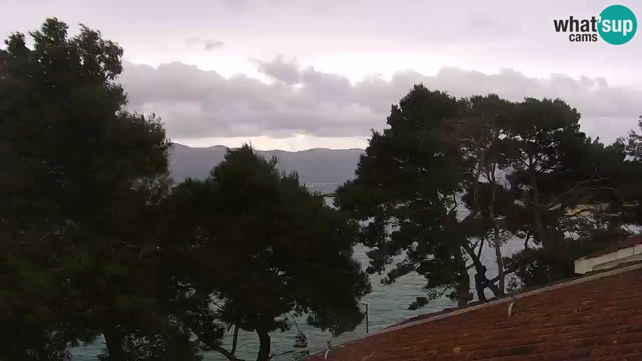 Lumbarda resort Spletna kamera Korčula