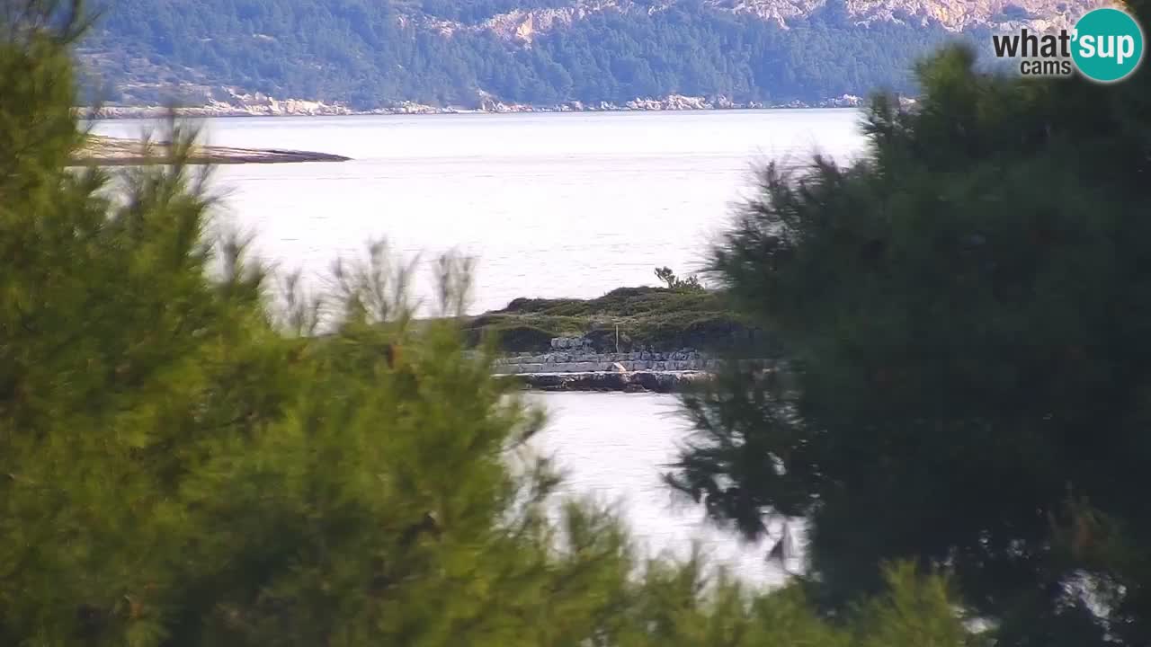 Lumbarda resort Webcam Korčula