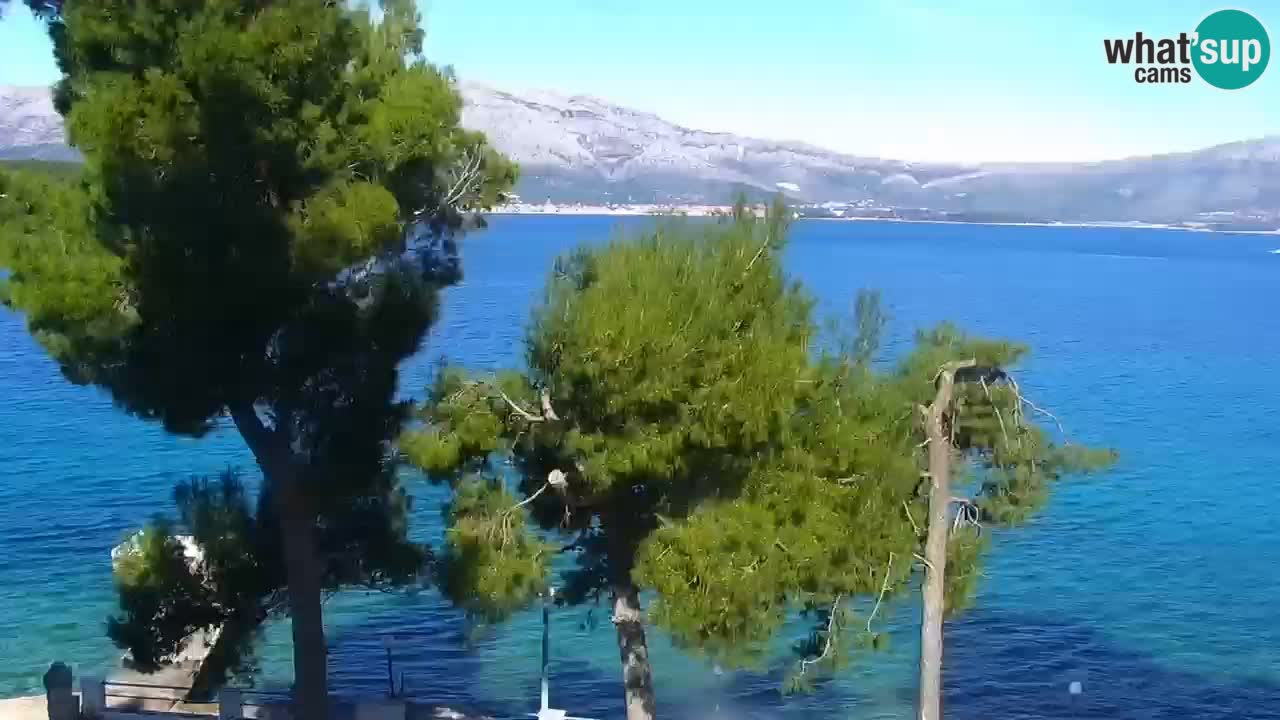 Lumbarda resort – livecam Korčula