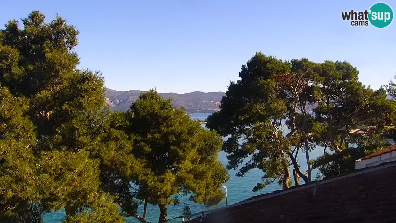 Lumbarda Resort camera en vivo Korčula