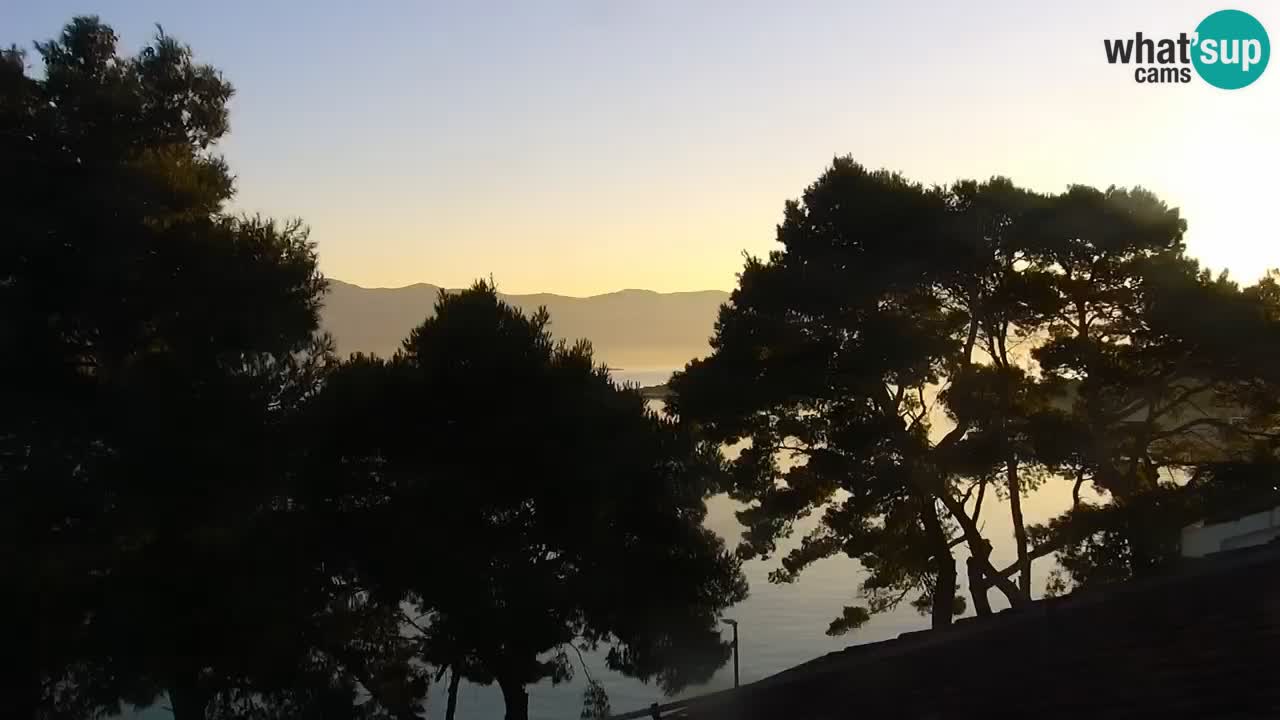 Lumbarda Resort camera en vivo Korčula