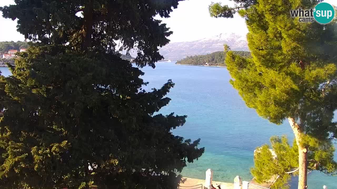 Lumbarda resort Web Kamera Korčula