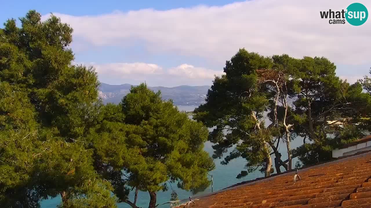 Lumbarda resort – livecam Korčula