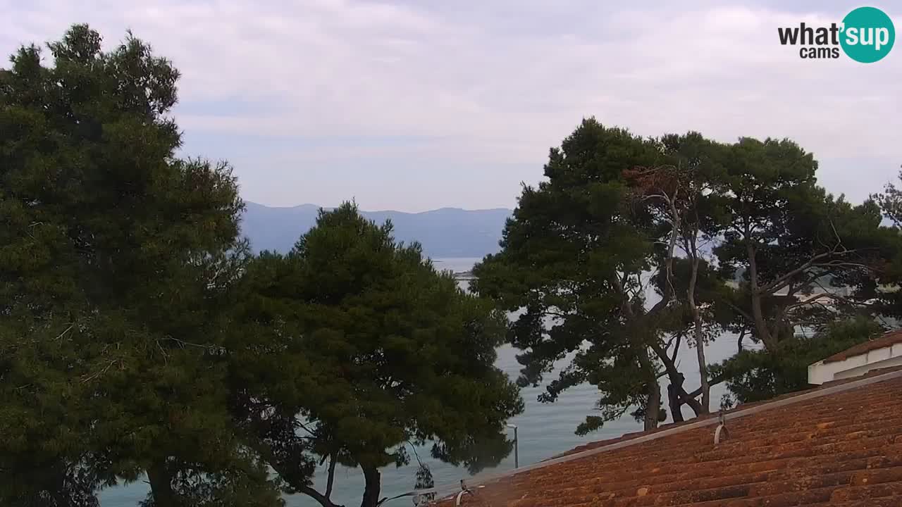 Lumbarda Resort webcam Kurzel