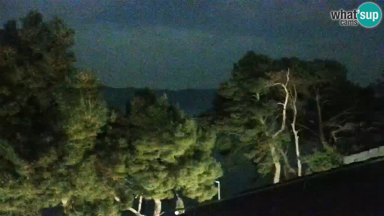 Lumbarda resort Webcam Korčula