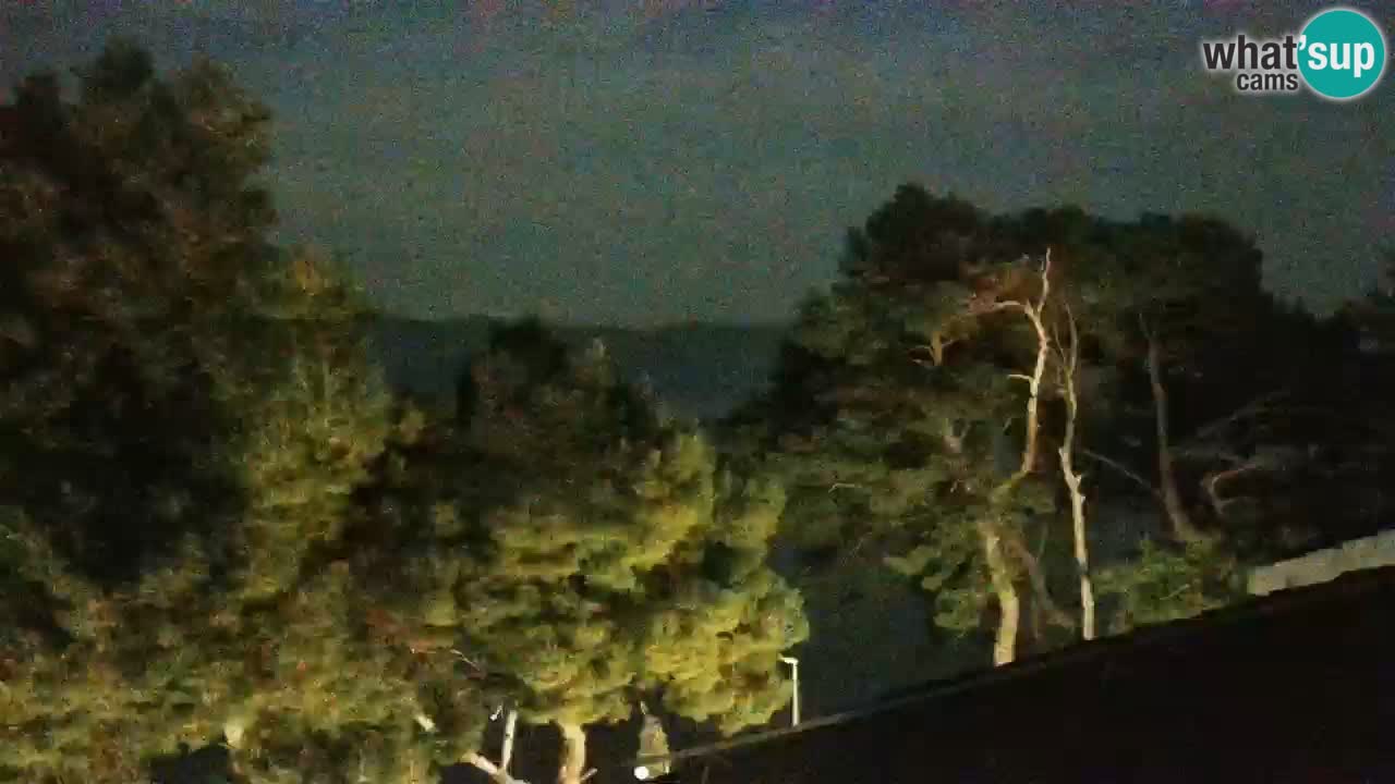 Lumbarda Resort webcam Kurzel