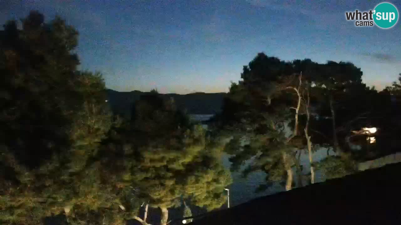 Lumbarda resort Webcam Korčula