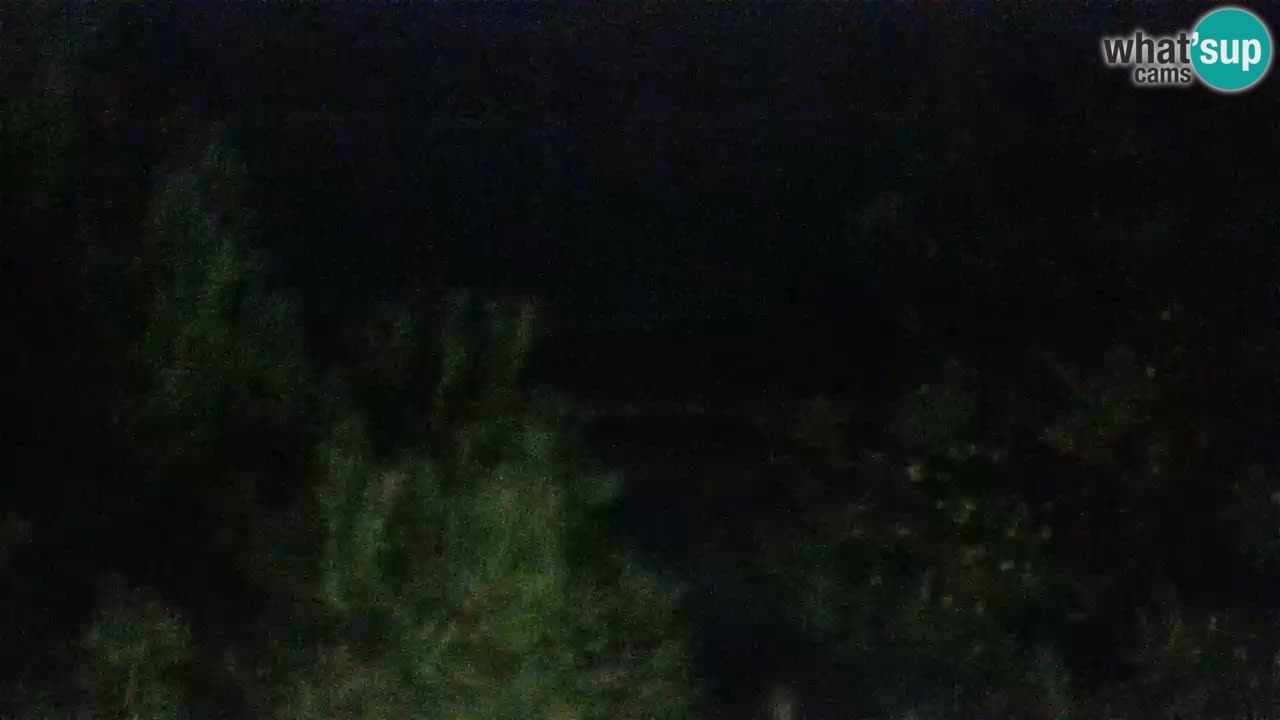 Lumbarda resort Spletna kamera Korčula