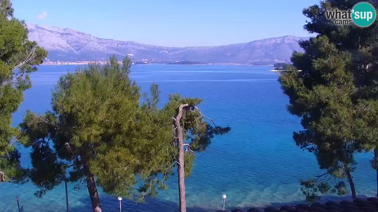 Lumbarda Resort camera en vivo Korčula