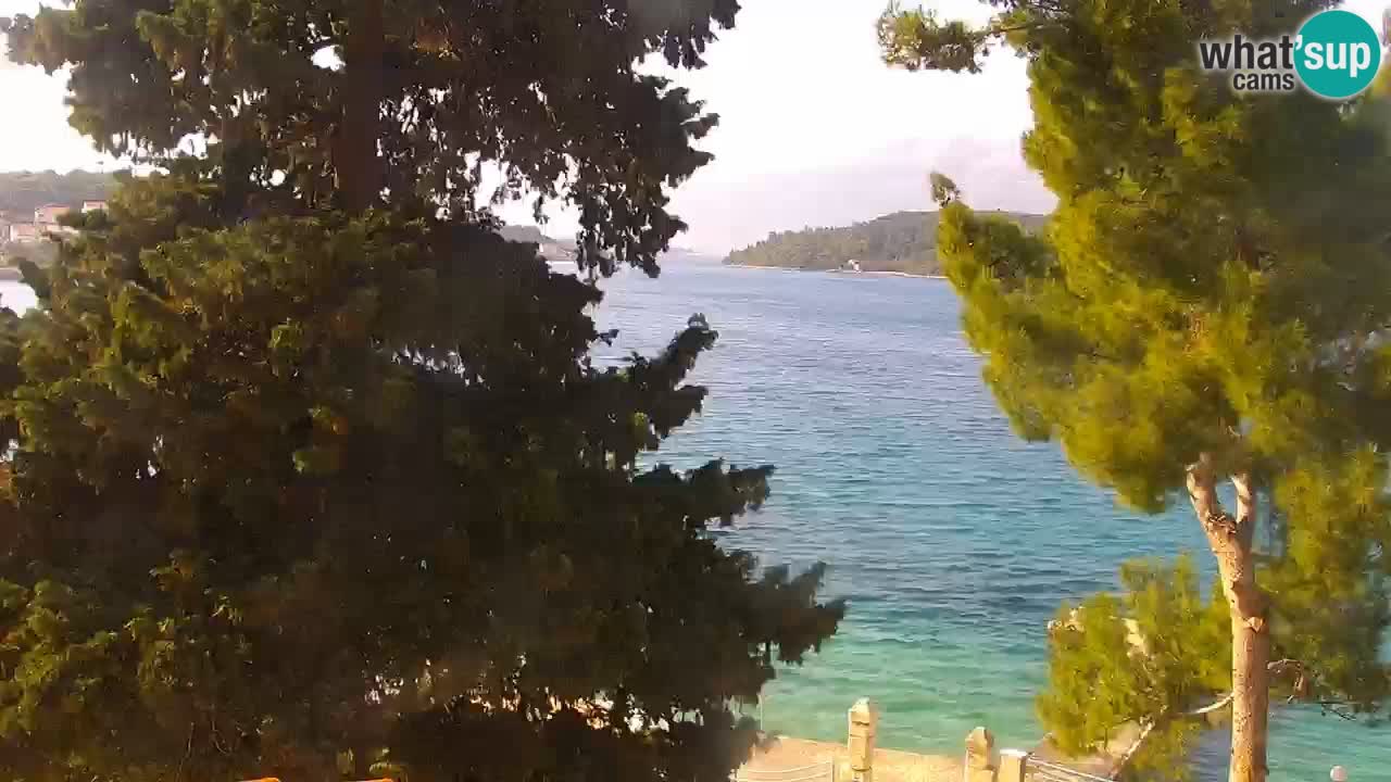 Lumbarda resort – livecam Korčula