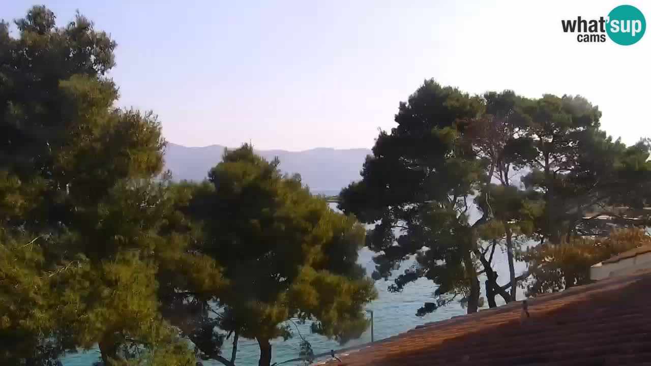 Lumbarda resort Webcam Korčula